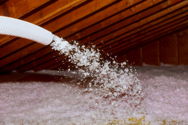 Best Attic Insulation Installation  in Waco, TX