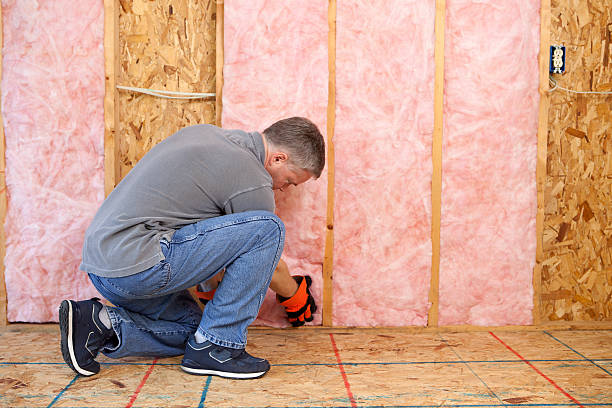 Best Blown-In Insulation  in Waco, TX